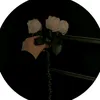 user4862441323108