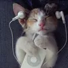 nguyenhuyhoange_e