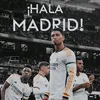 omarsafrini3