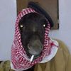 كونقرس تهامه🫏