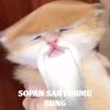 awangr08