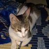 mukhtaar.nour