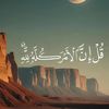 username244441
