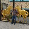user8651066660175
