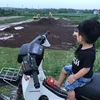 chinsuna