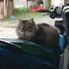 zaiiiii056