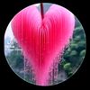user4697005031362