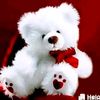 user15240296745384