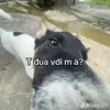 luciannn09