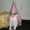batteryacidprincess