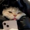 blezzrr_