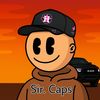 sir._caps