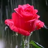 user6778008869407