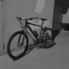 mtb_on_forward