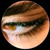 .user8005502661
