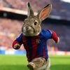 team_rabbitfcb