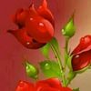 user52987715724809