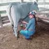 renatamesy1