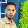 usersiroo4