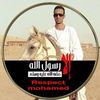 user2403553974465