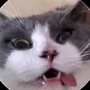 quynhthu779