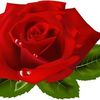 moudji444