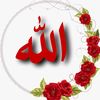 ibtisamhammoud8