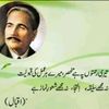 zubairzaib05