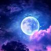 neelhoque