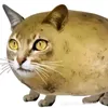ahiuemwaaaa