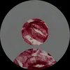khami204