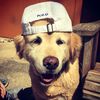 gamachrist