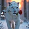 talabshoh1983000000