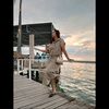 susi_nh