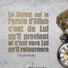zenabouzemane