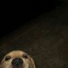 user10292023_