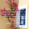user7094058668213