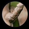 unknown_vp002