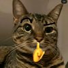 __ehsanmakansoto