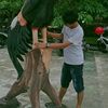 www.ganjil.com