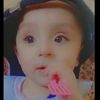 amer___z295