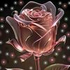 user8677332475918