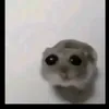 nhcchillchill546