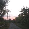 glvnni