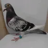 ionelradu49