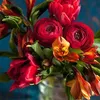 nourhoda163