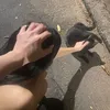 sophapolinario