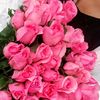 phyu6208