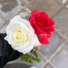 user910660063248