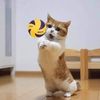 viktoriaft8